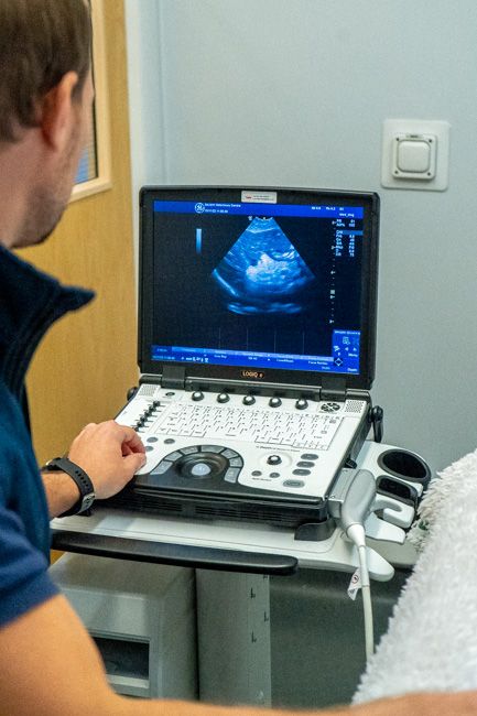 Ultrasound
