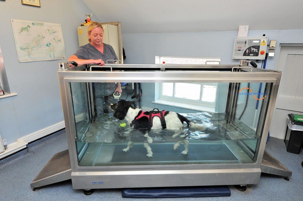 hydrotherapy-&-rehabilitation-062d6d905e7603