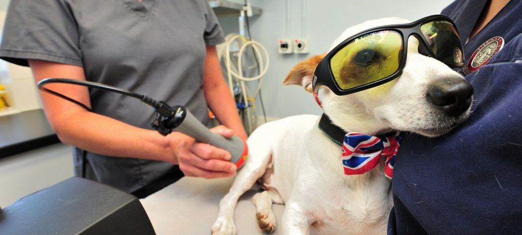 hydrotherapy-&-rehabilitation-162d6d9061cb47