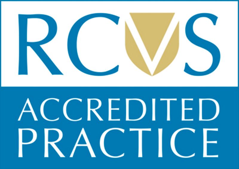 rcvs-practice-standards-scheme-062d6d8f40c1cc