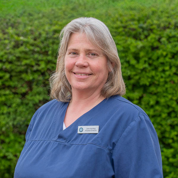 Jane Harding - Severn Veterinary Centre - Team (Web) 2026-03