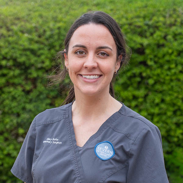 Mary Burke - Severn Veterinary Centre - Team (Web) 2026-03