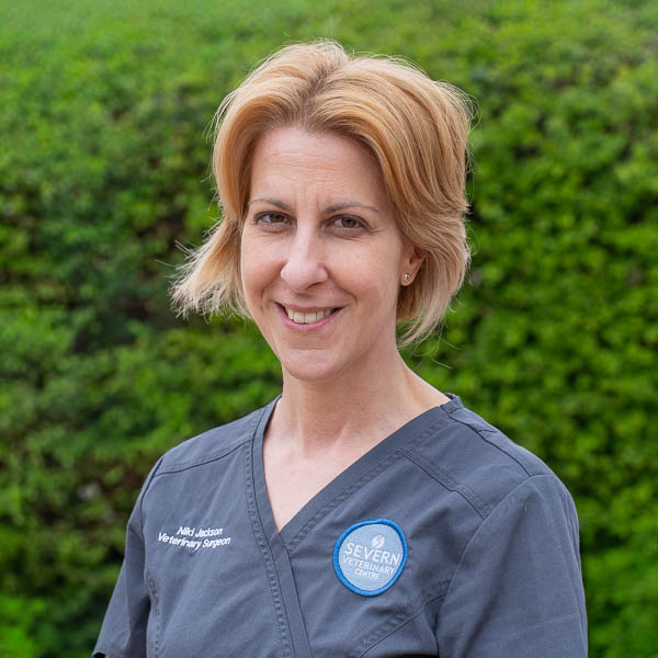 Niki Jackson - Severn Veterinary Centre - Team (Web) 2026-03