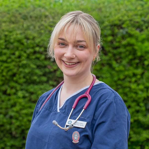 Rosalie Oakes - Severn Veterinary Centre - Team (Web) 2026-03