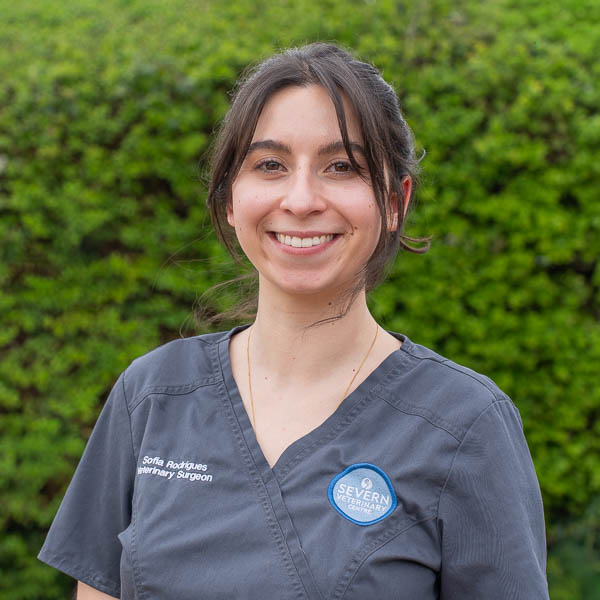 Sofia Rodrigues - Severn Veterinary Centre - Team (Web) 2026-03