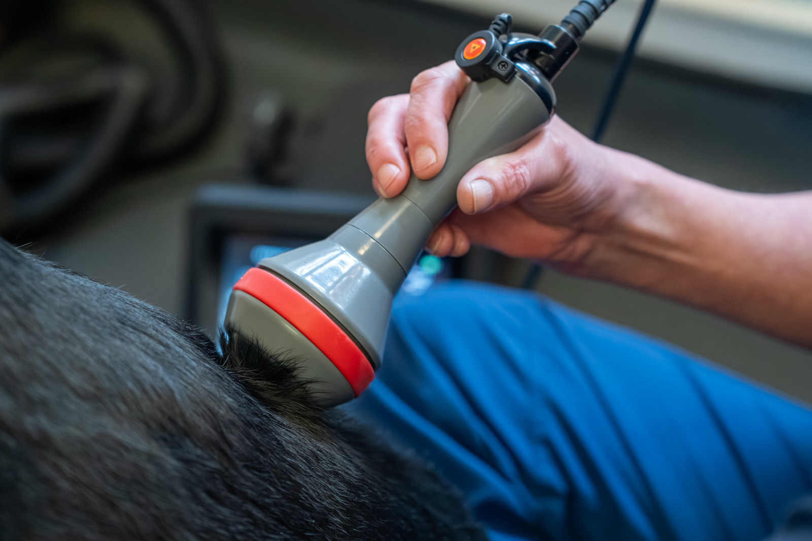 Severn Veterinary Centre - Berkeley House (Web) 2026-03 032