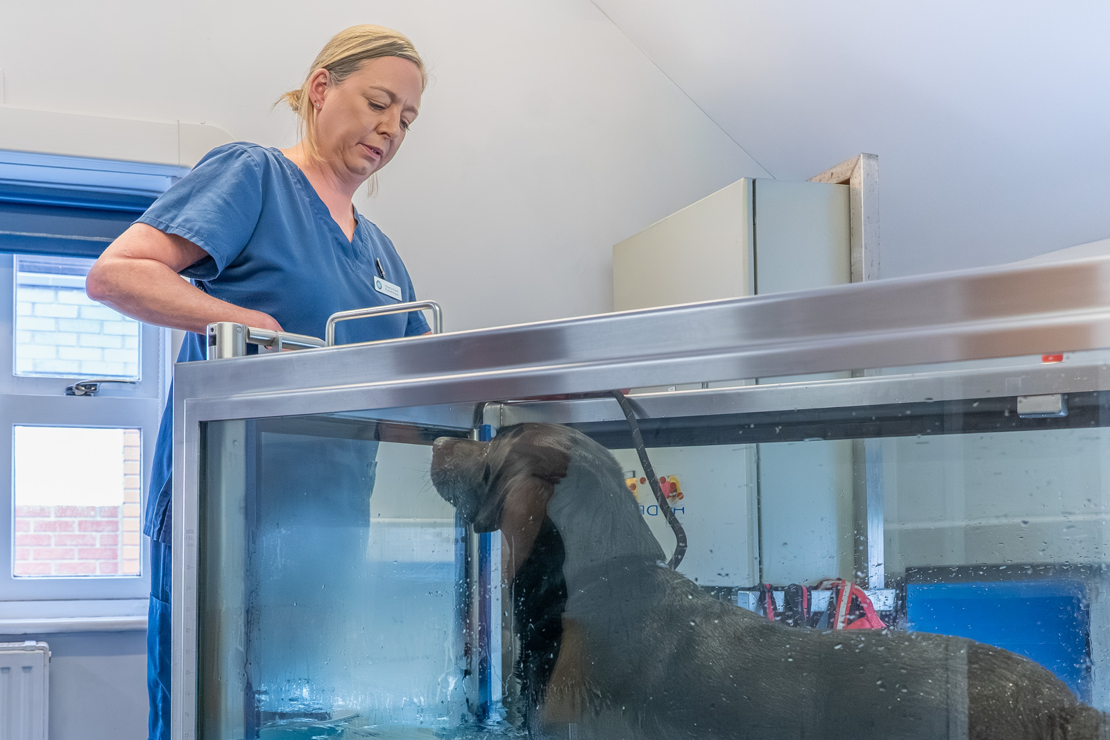 Severn Veterinary Centre - Berkeley House (Web) 2026-03 037