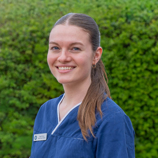 - Severn Veterinary Centre - Team (Web) 2026-03
